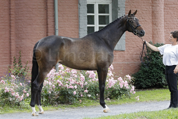 Evora © Lune Jancke